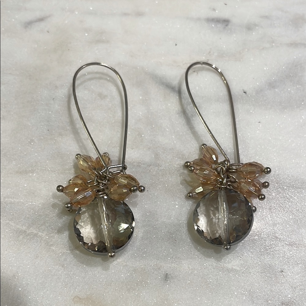 Amber Long Earrings
